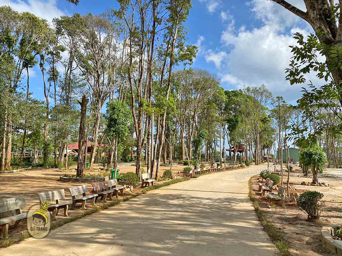 tượng đức mẹ măng đen