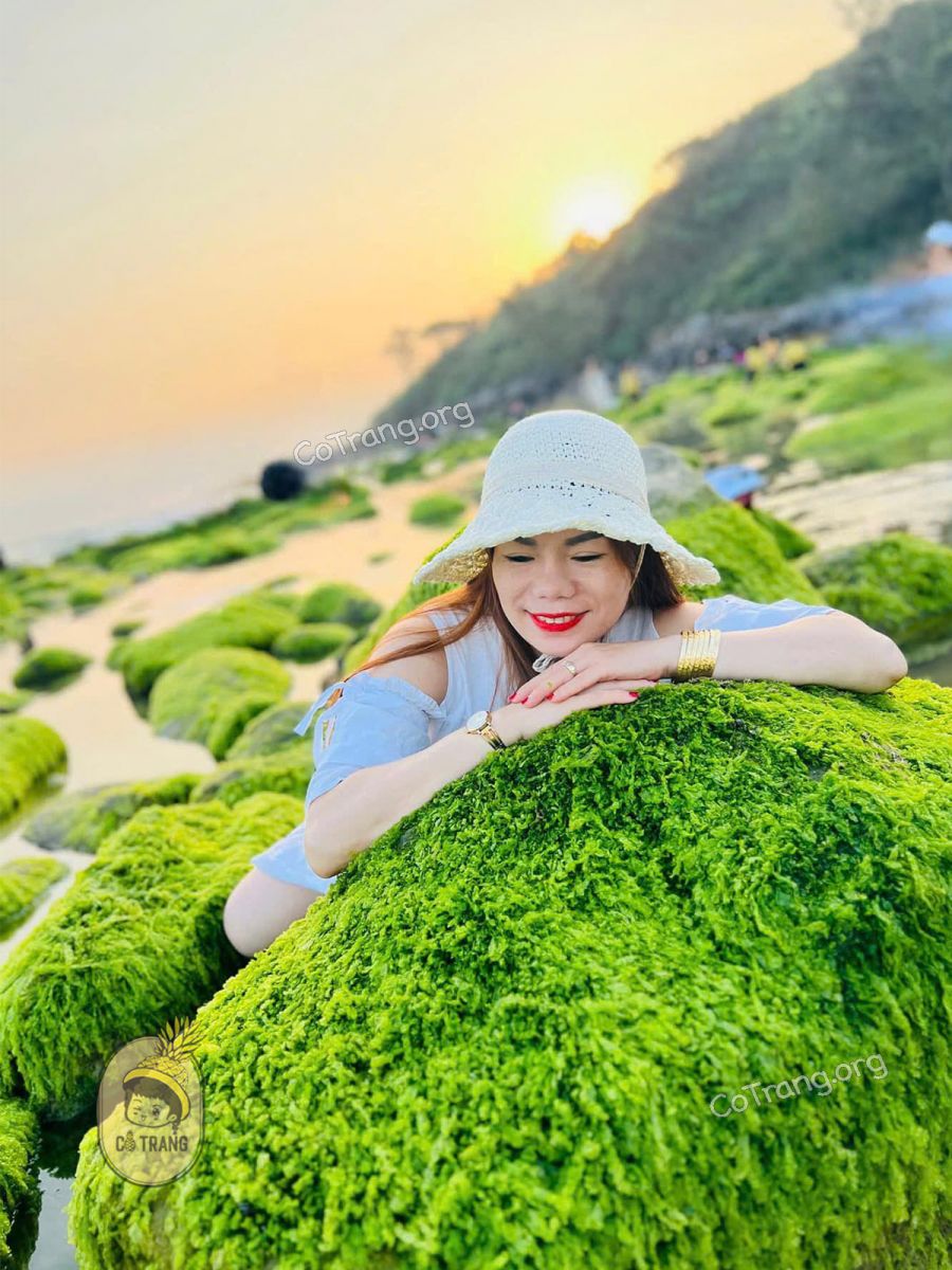 bãi rêu nam ô đà nẵng