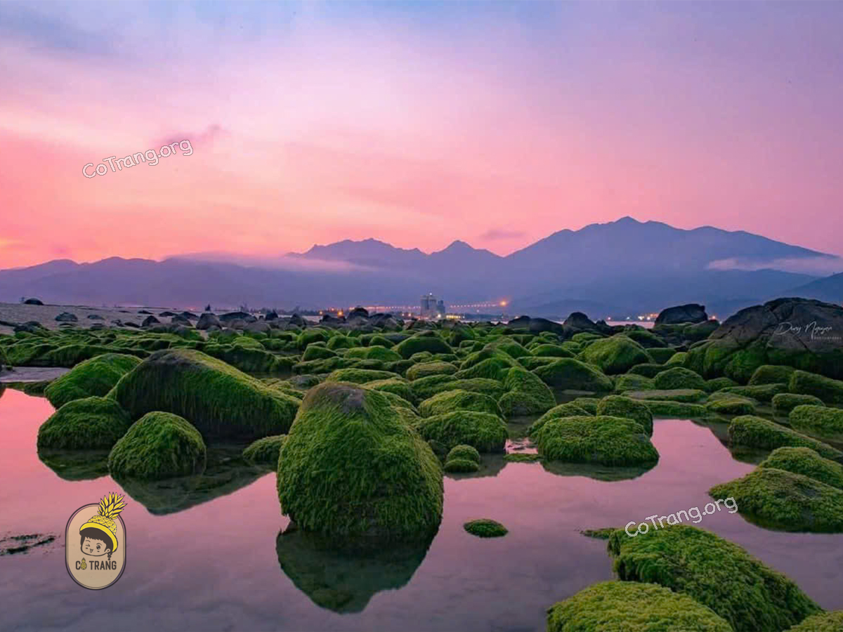 bãi rêu nam ô đà nẵng