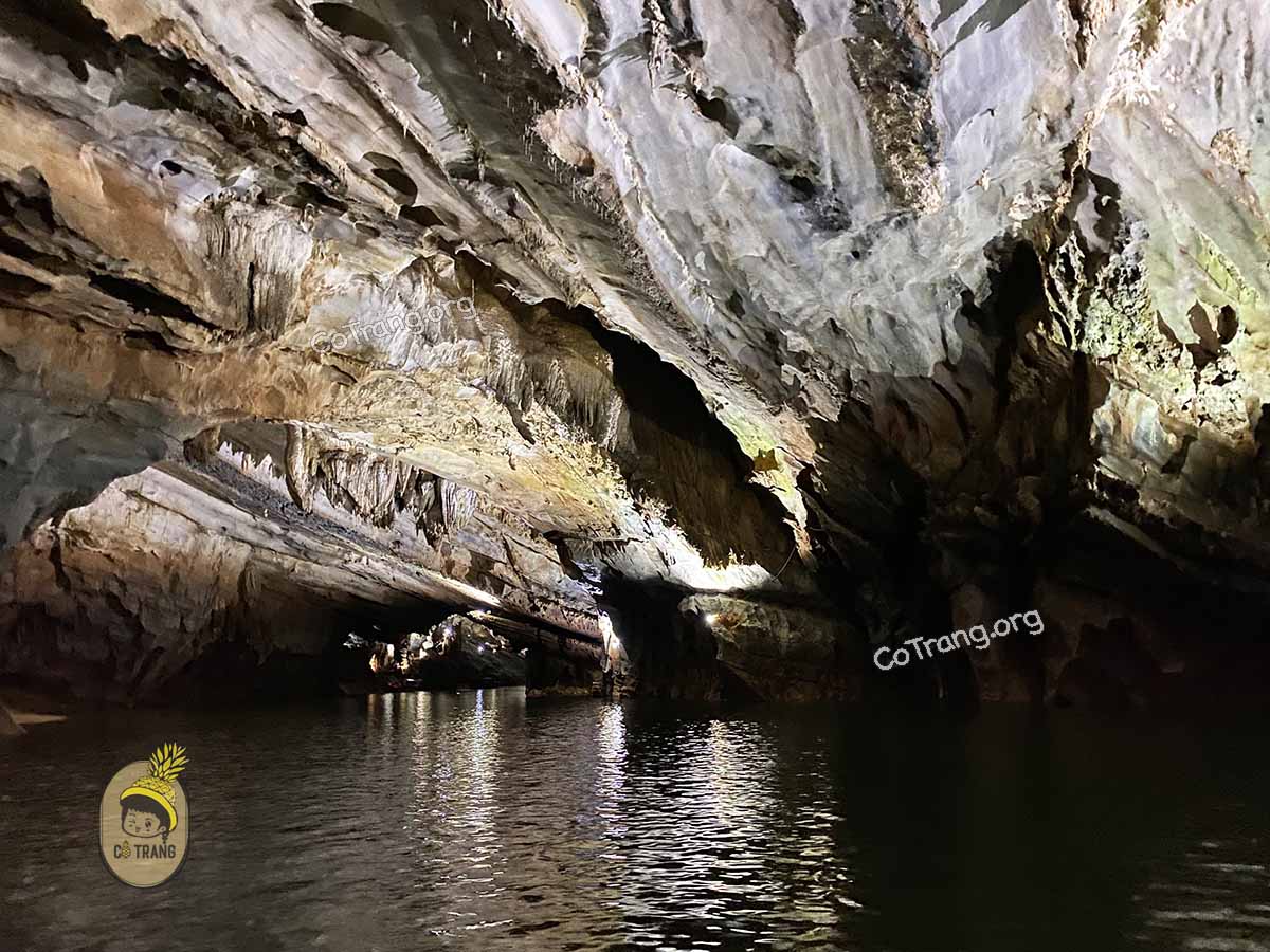 động phong nha quảng bình