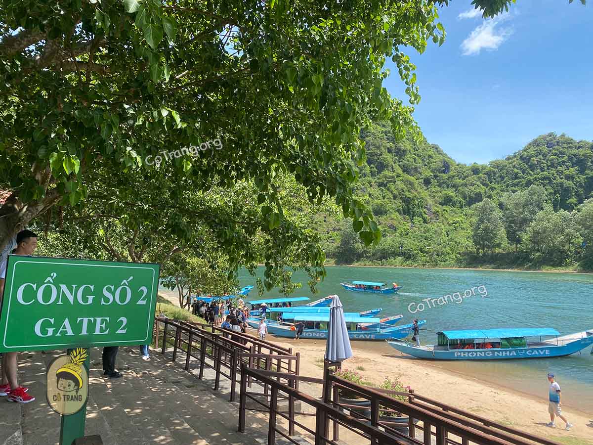 động phong nha quảng bình