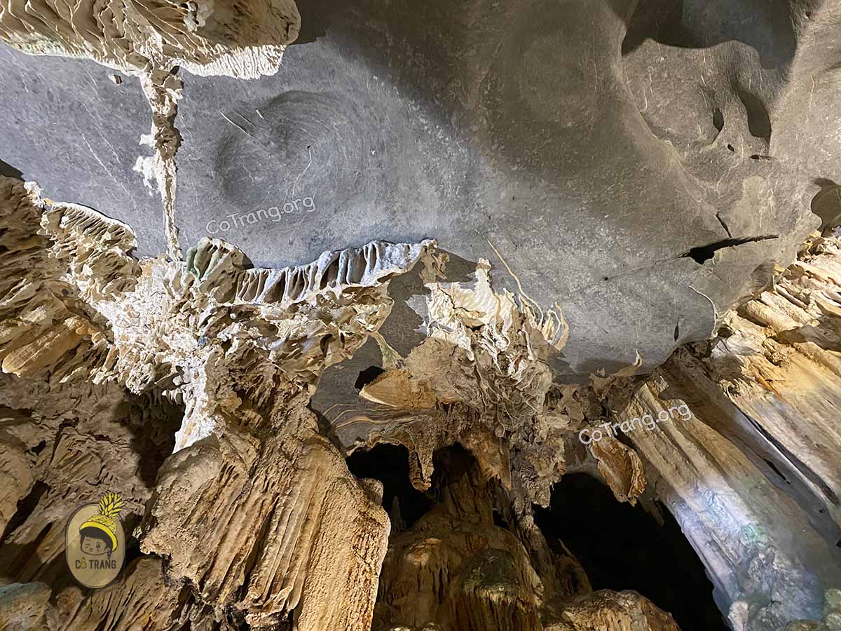 động phong nha quảng bình