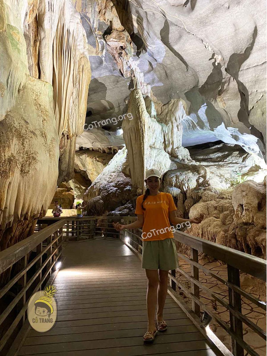 động phong nha quảng bình