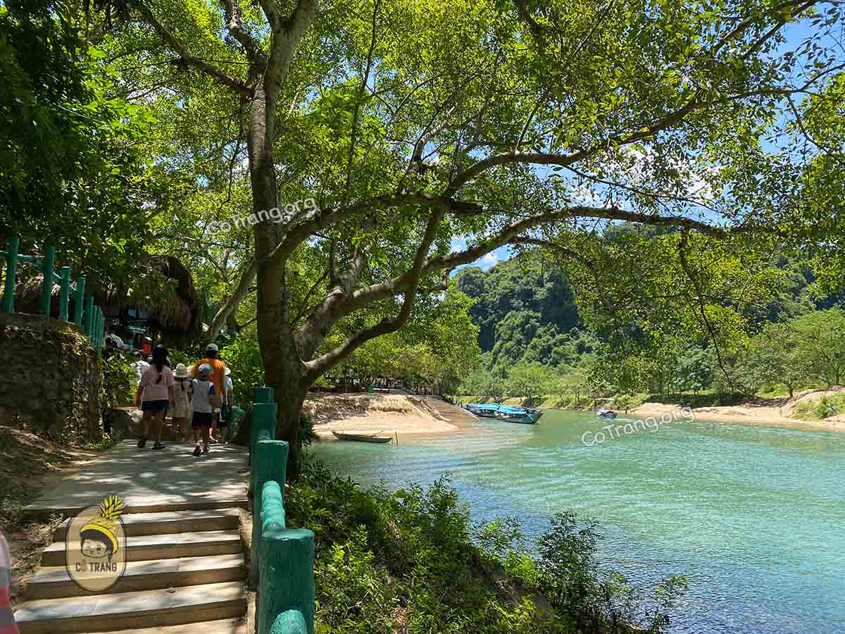 động phong nha quảng bình