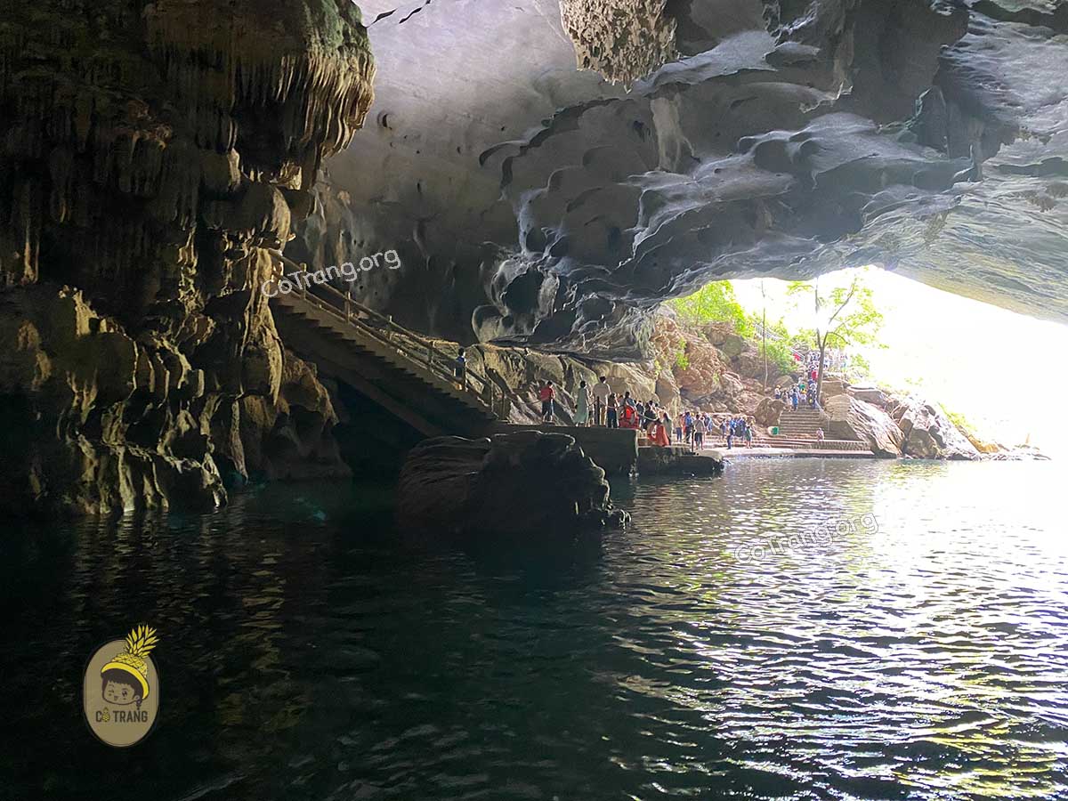 động phong nha quảng bình