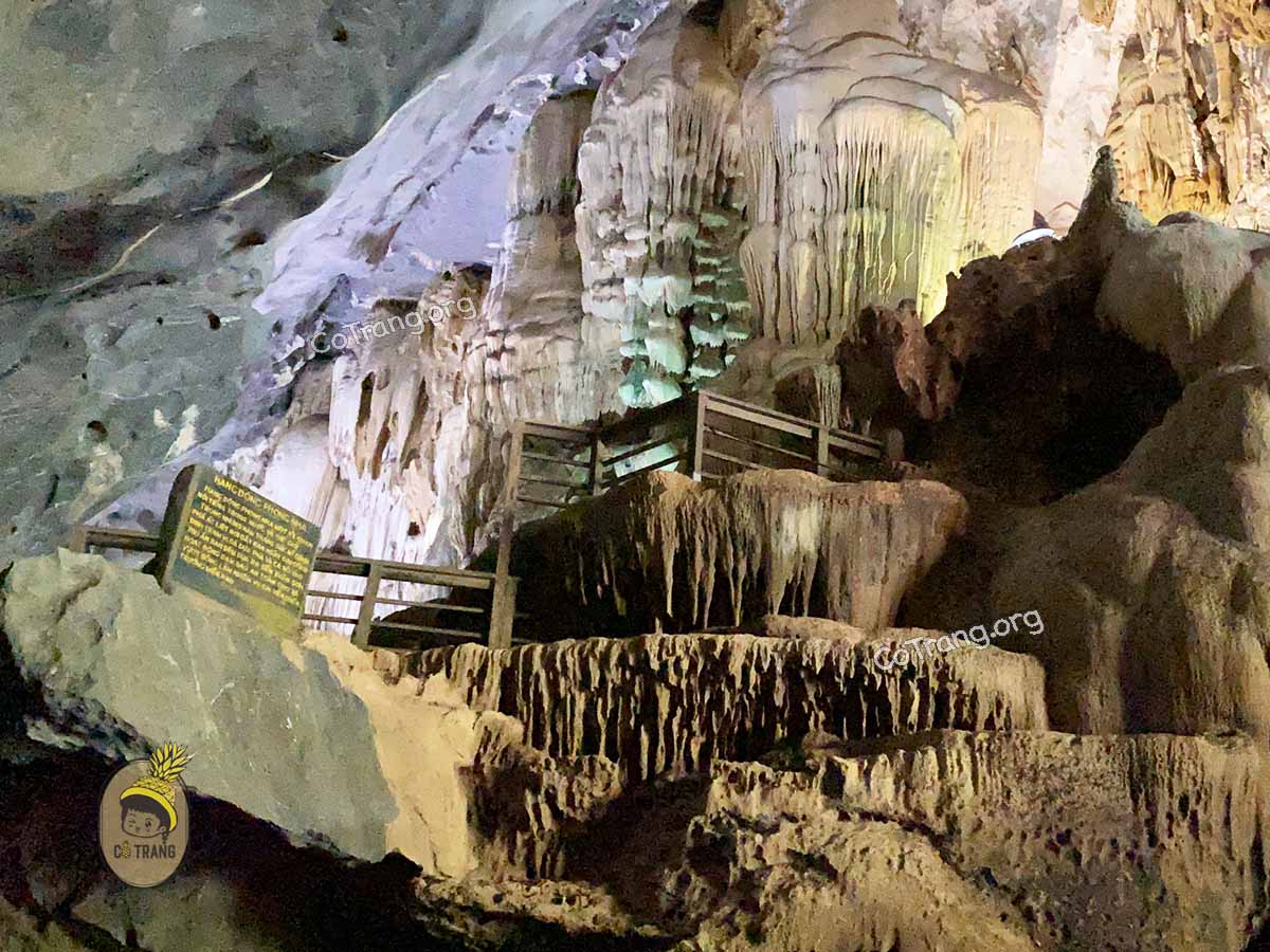 động phong nha quảng bình