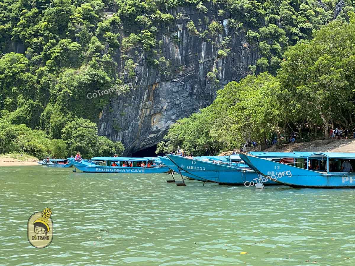 động phong nha quảng bình