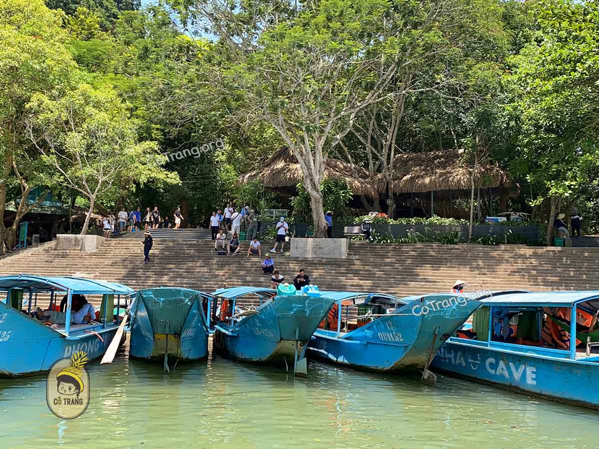 động phong nha quảng bình
