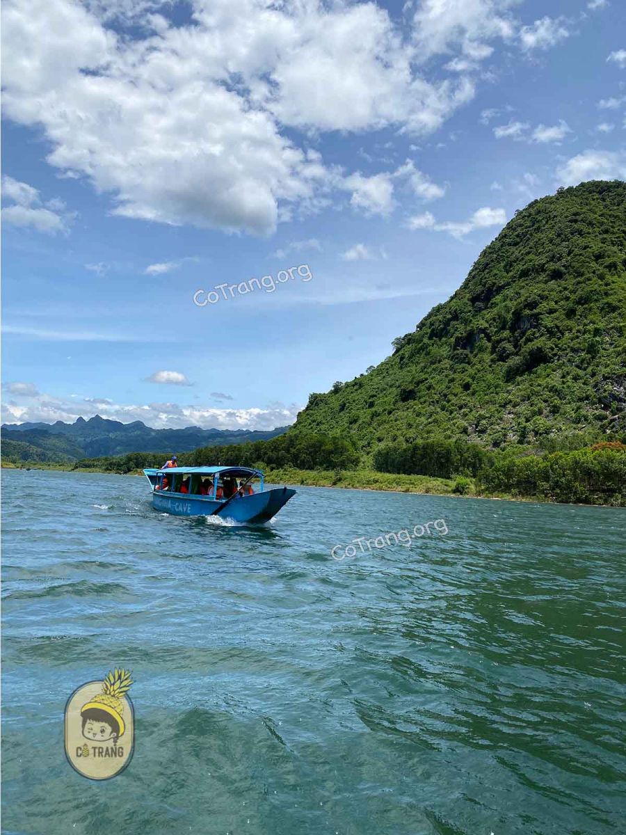 động phong nha quảng bình