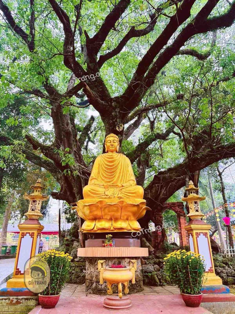 Chùa Thiên Ấn - Quảng Ngãi ( ảnh sưu tầm)