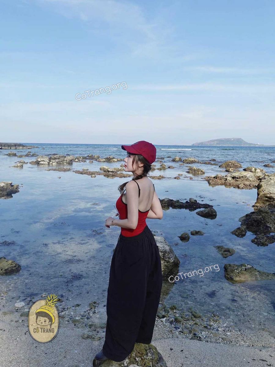 Đảo Lý Sơn - Quảng Ngãi (ảnh sưu tầm)