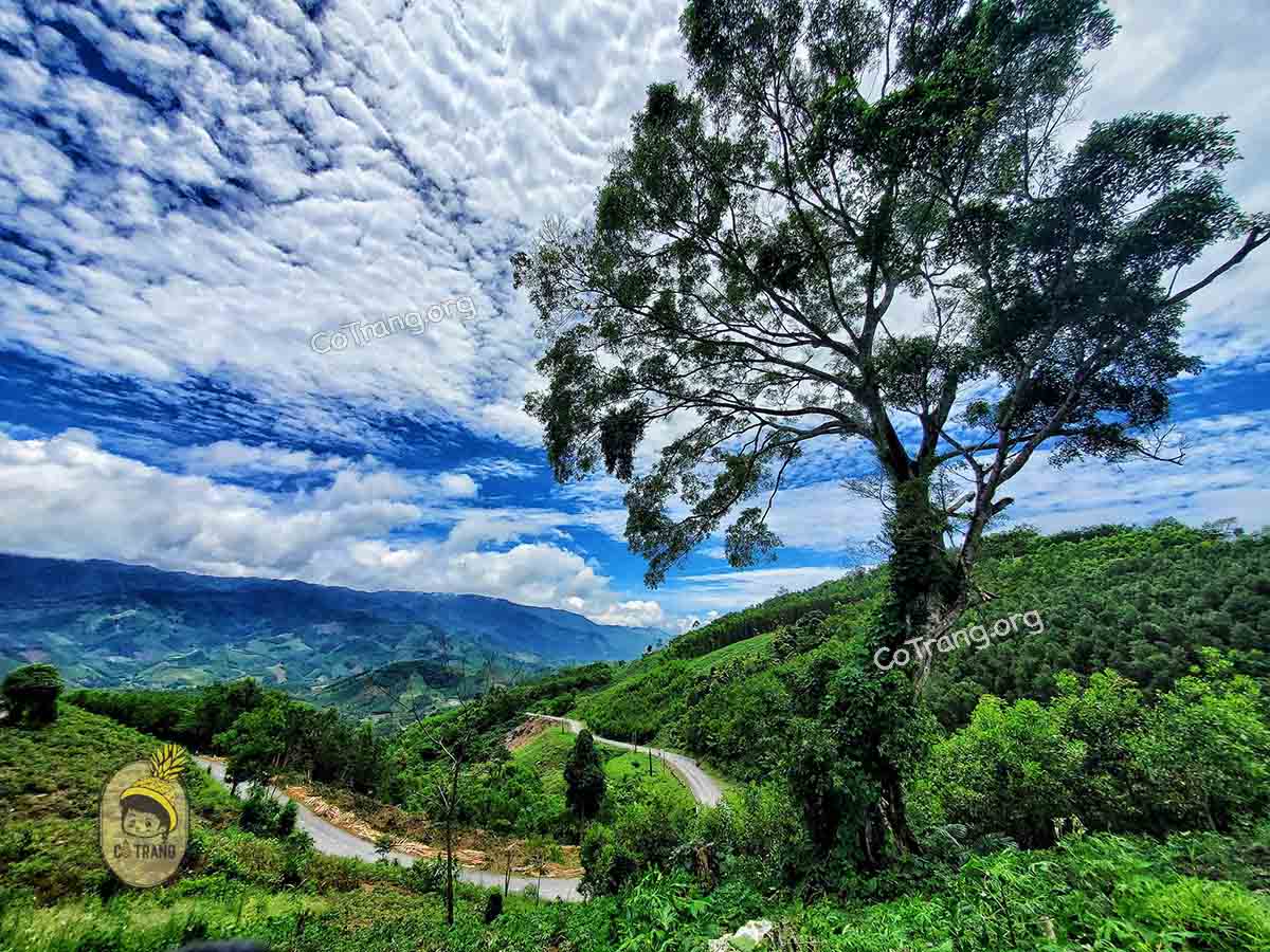 Vẻ đẹp Đèo Vi Ô Lắc - Quảng Ngãi (ảnh sưu tầm)